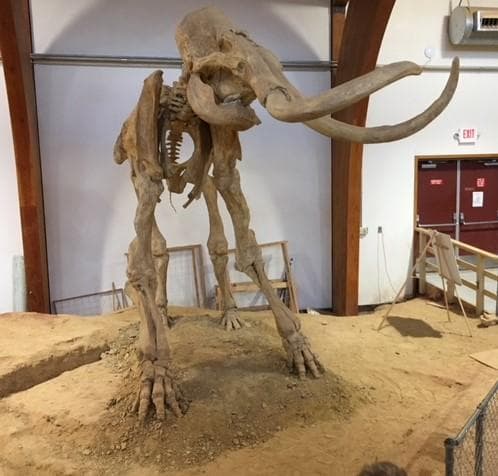 Private Mammoth Site & Rushmore Cave Adventure in Rapid City
