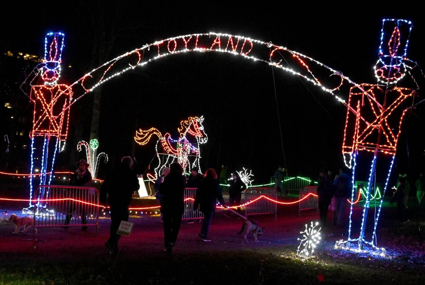 Tail Lights Walk Through with Dogs: A Festive Outdoor Experience in Columbia, Maryland