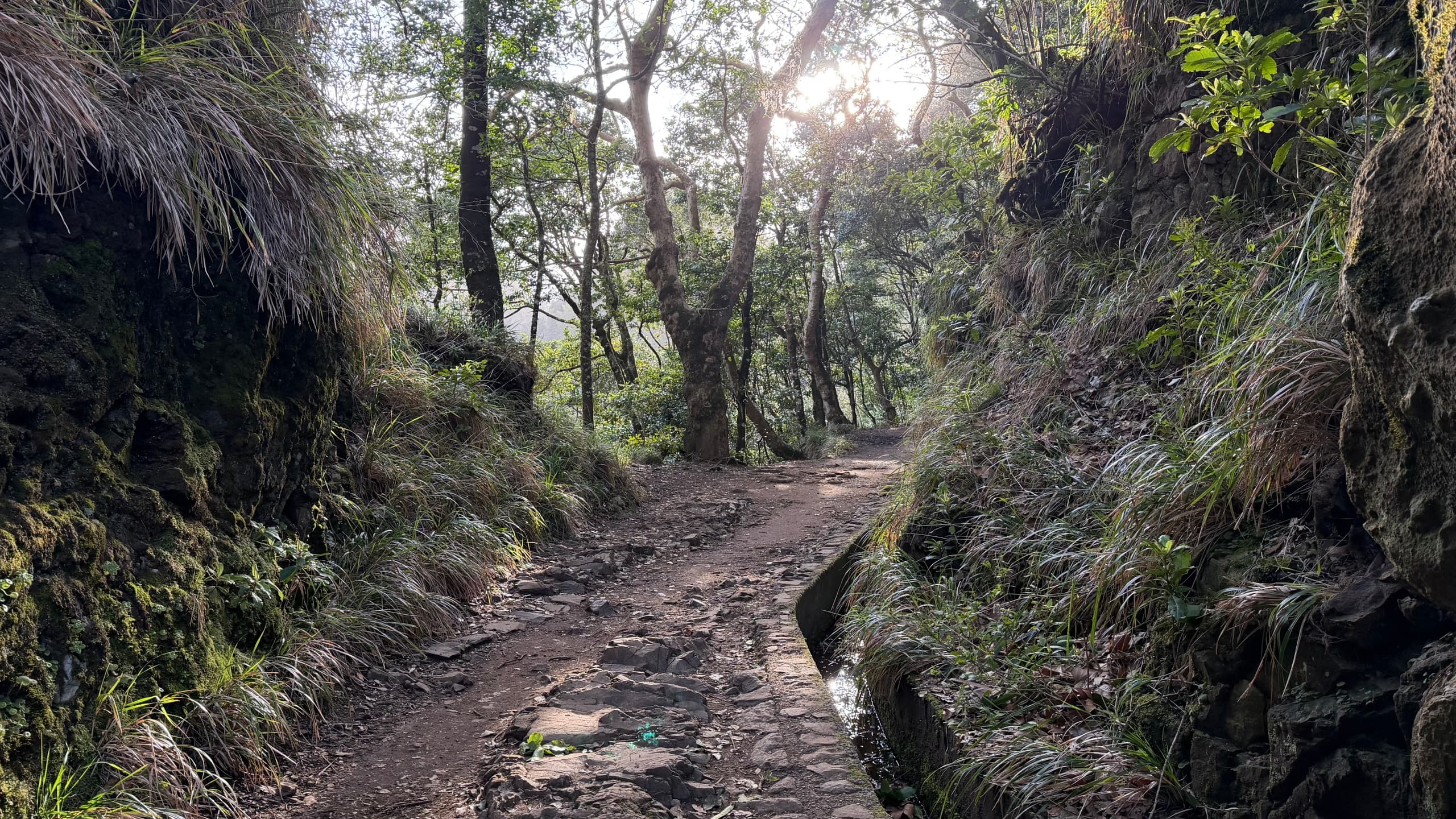 Above-the-Clouds Sunrise Tour in Madeira: Mountain Views from Santa Cruz photo 4
