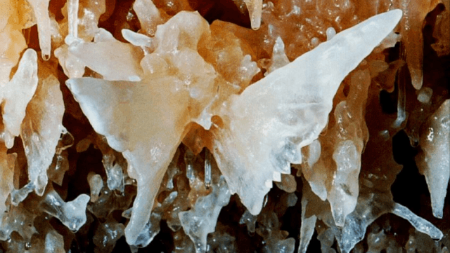 Crystal Palace Tour: Inside Caverns of Sonora’s Most Decorated Rooms