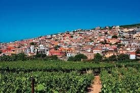 Eco Bike & Olive Oil Tour in Xeropotamos, Greece