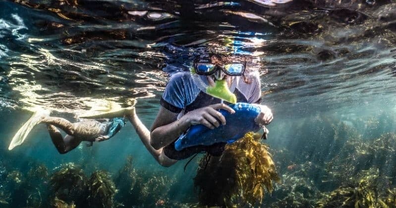 Snorkel in Avalon, California