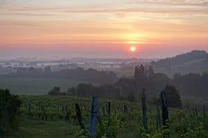 Saussignac Yoga Retreat at Chateau Feely