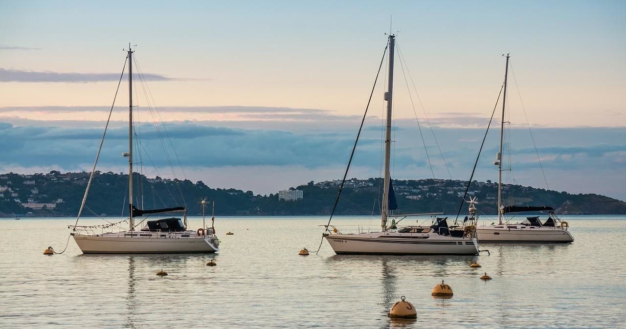 Sailboats moored in calm harbor at sunrise near coastline