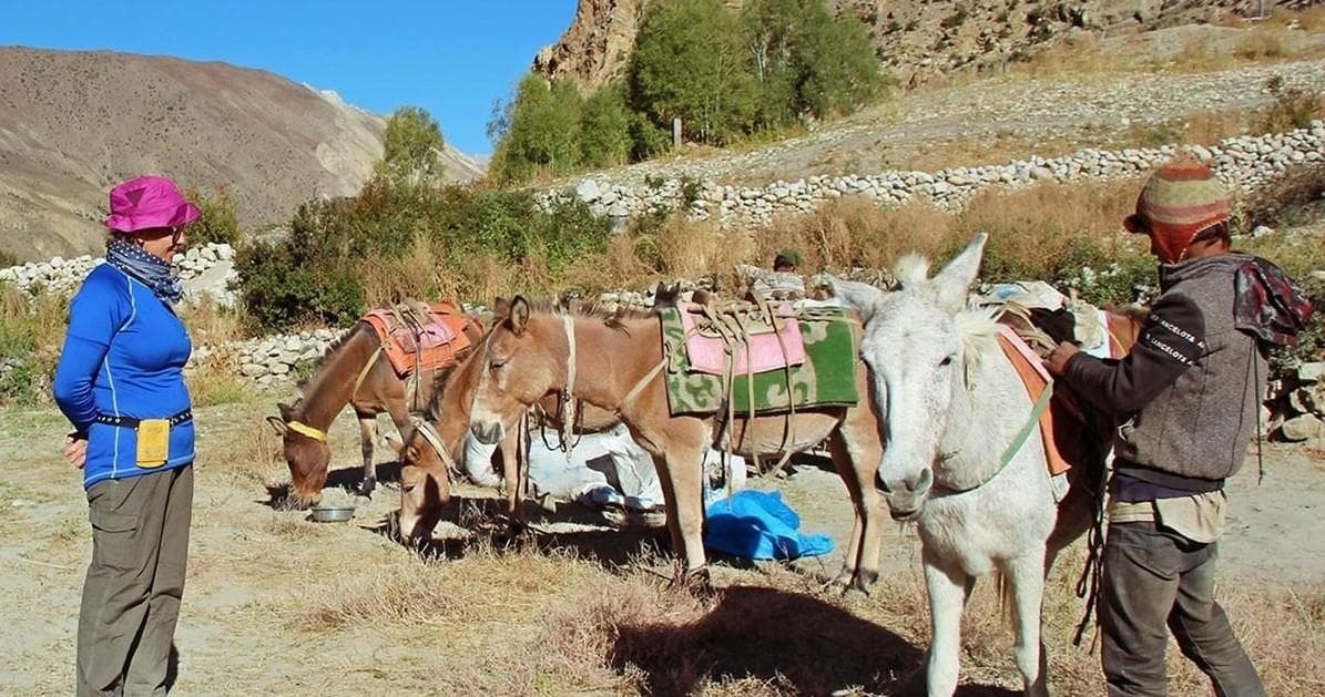 Upper Dolpo Traverse Trek with Responsible Adventures