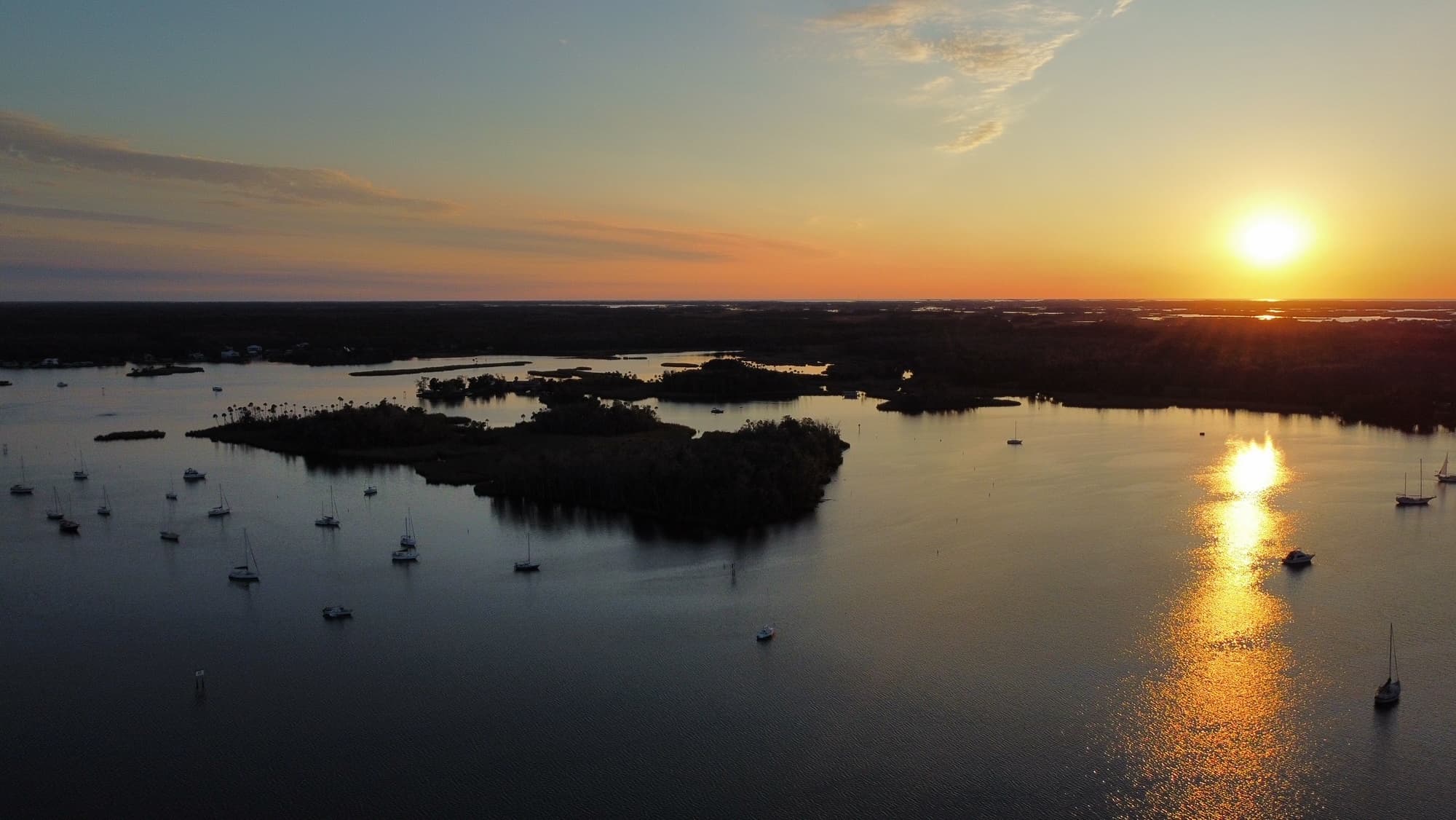 Eco-Tour and Wildlife Viewing in Florida's Nature Coast