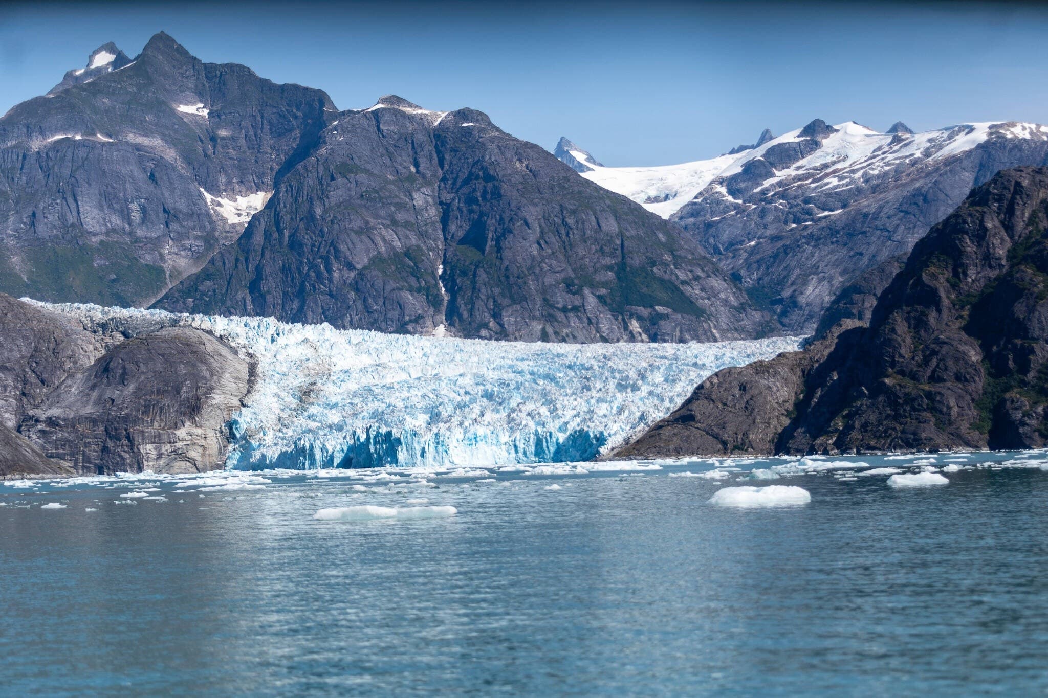 Private LeConte Glacier Cruise from Petersburg — 4-Hour Scenic Boat Tour