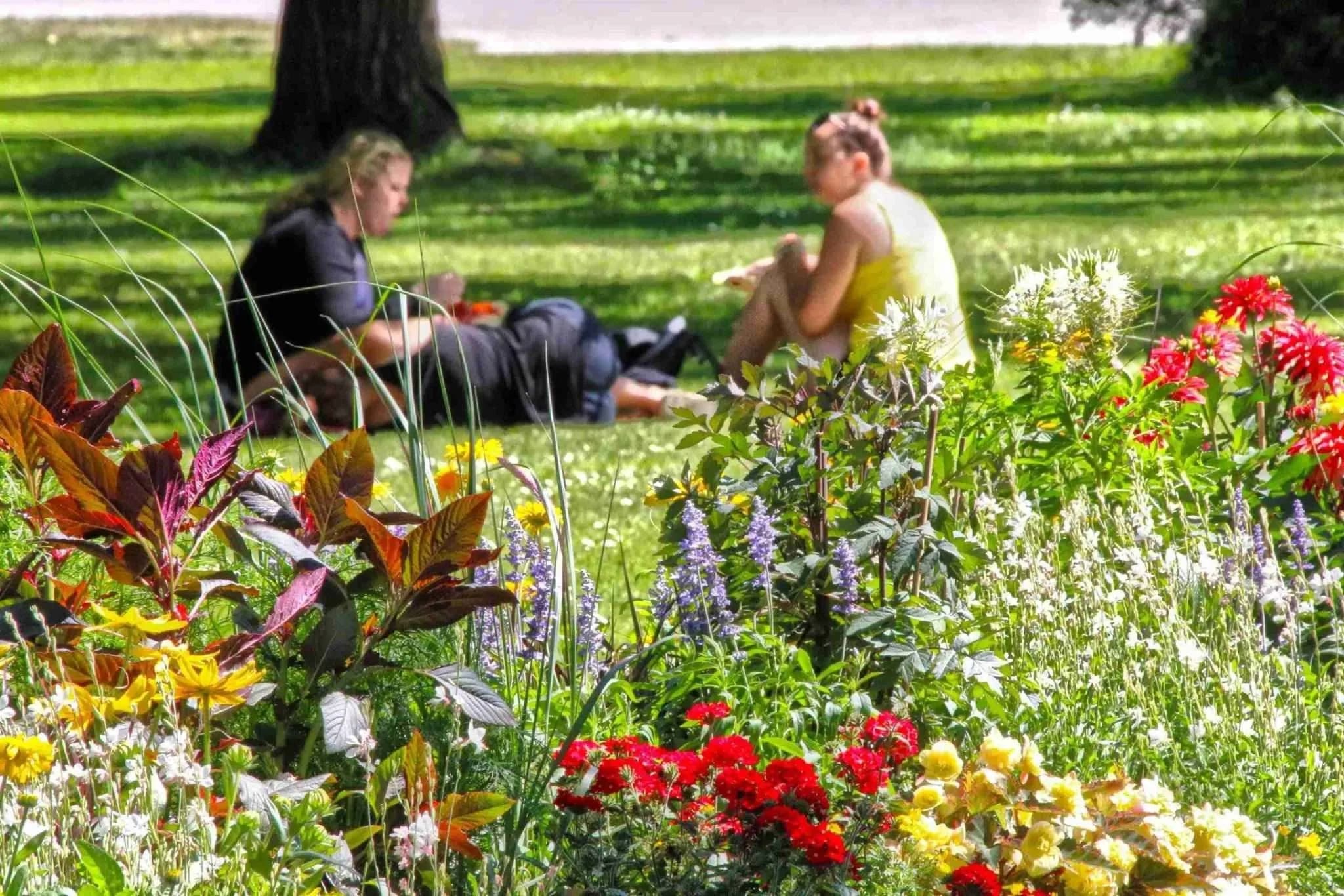 Water Activities & Wildlife Tour of Djurgården by Stockholmania Tours