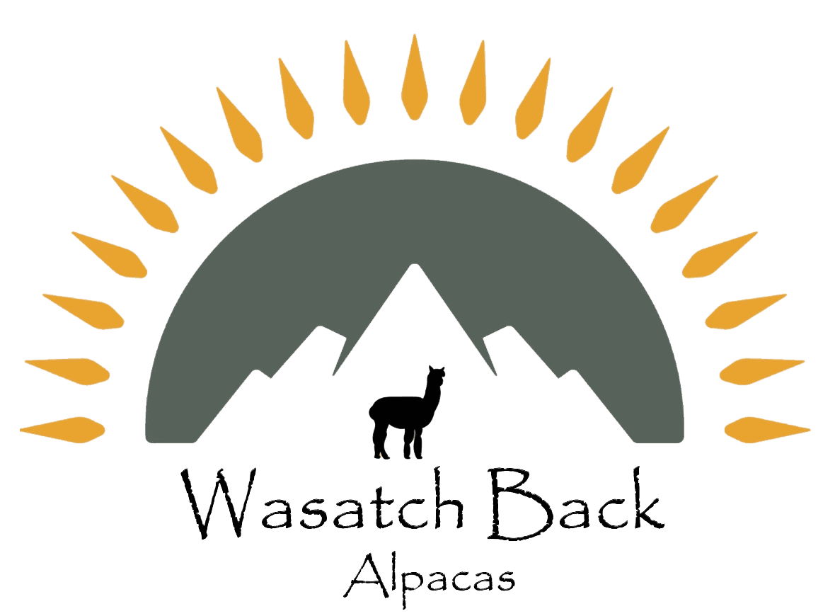 Hands-On Alpaca Experience Near Heber City: Private Wasatch Back Farm Tour photo 1