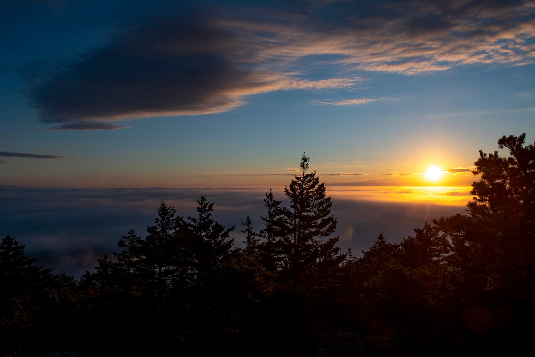Custom Hike in Bar Harbor: Tailored Trails in Acadia