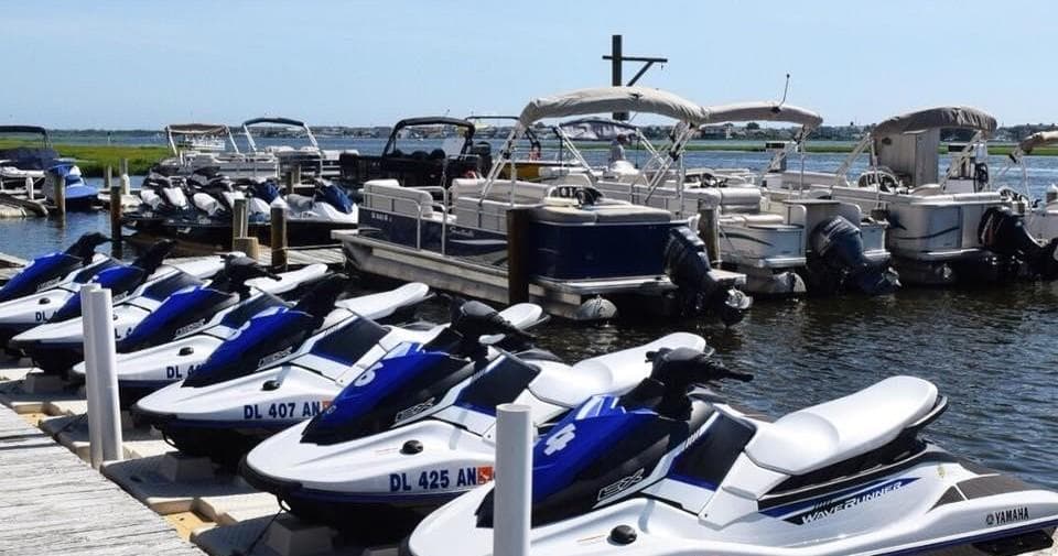 Water Activities at Sharks Cove Marina: Pontoon Adventures