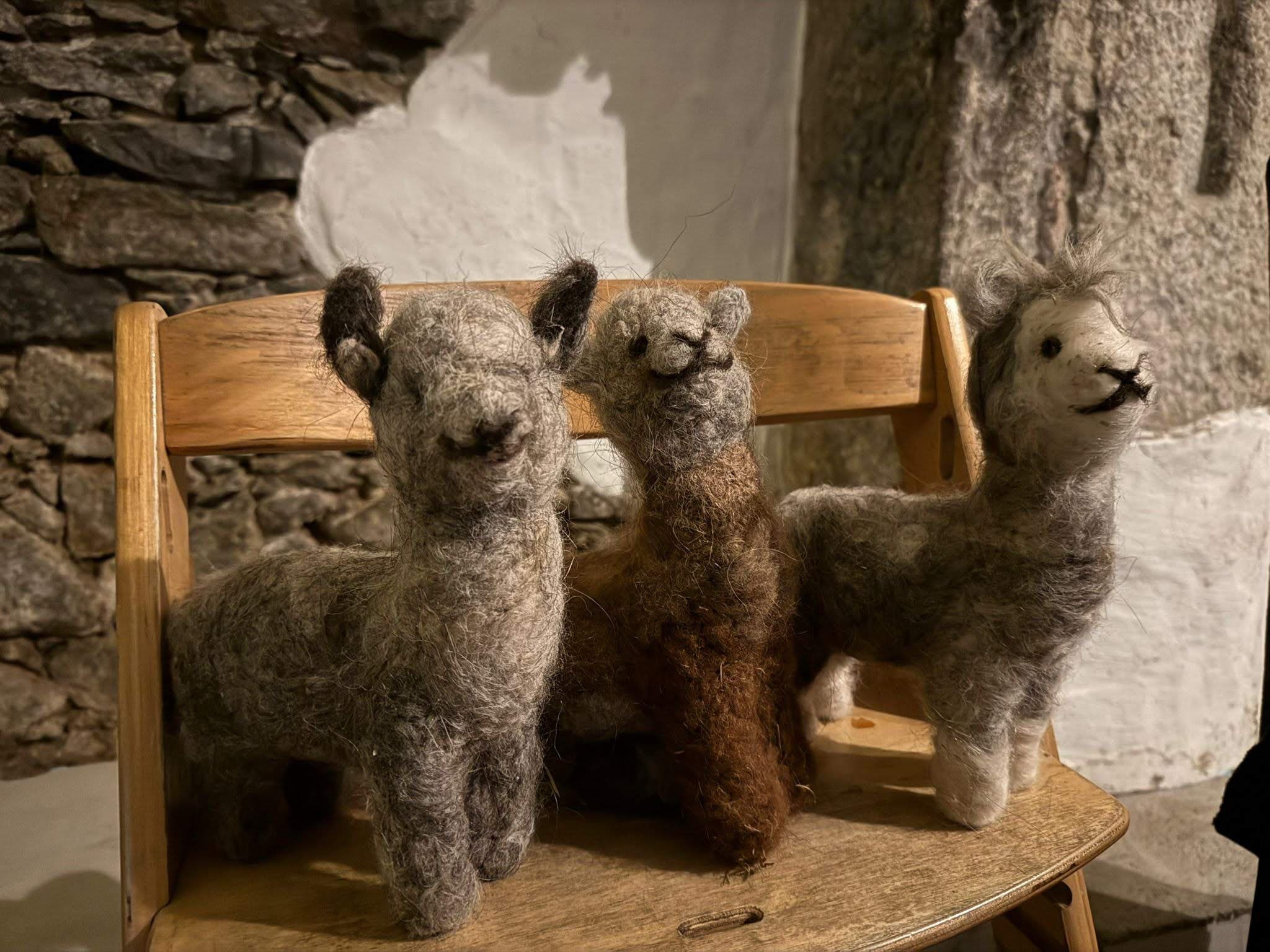 Trockenfilzen: Felt With Llamas and Alpacas in Schönau-Berzdorf photo 2