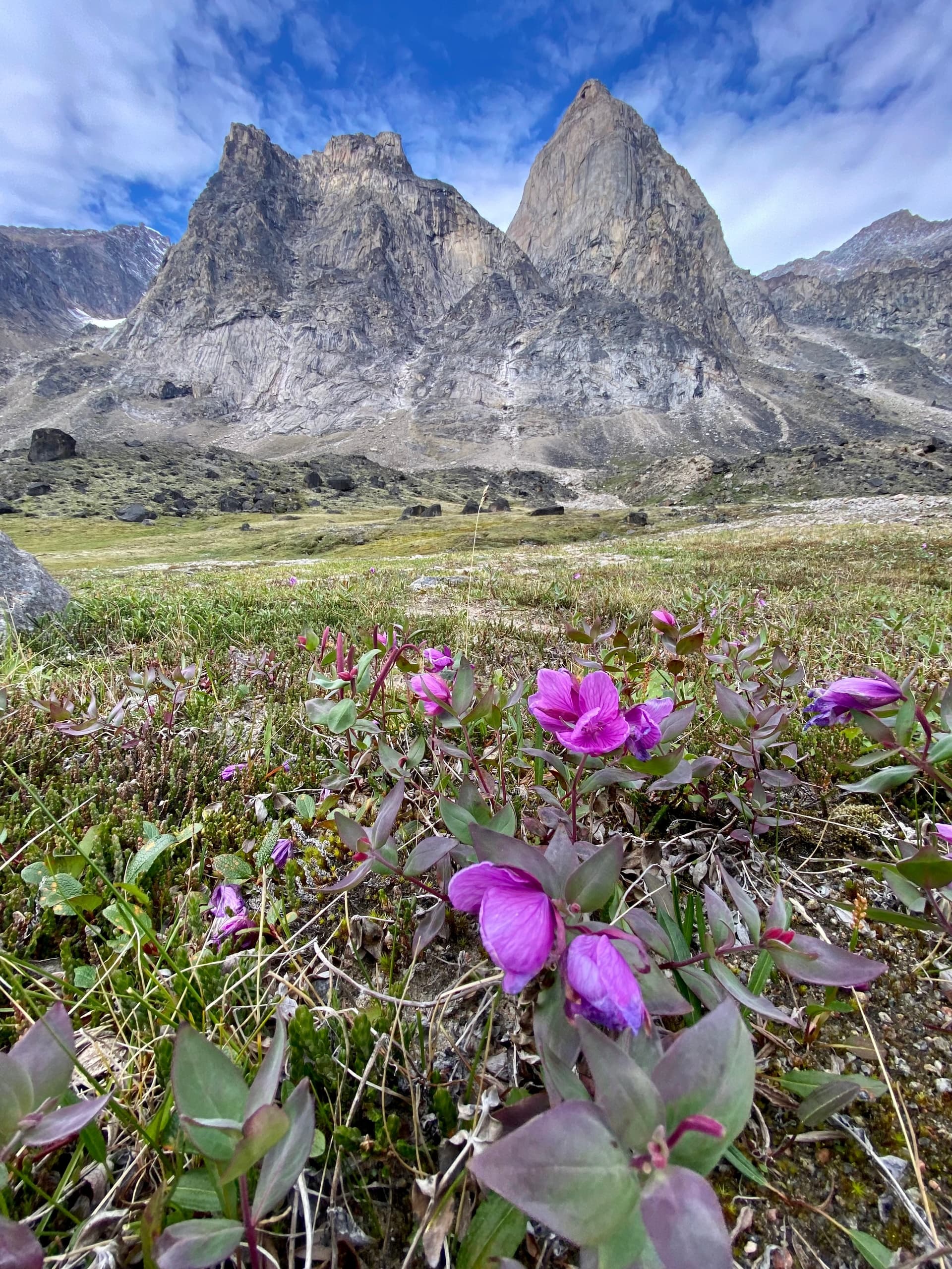 Akshayuk Pass: 12-Day Backpacking Expedition Across Baffin Island's Arctic Wild photo 3