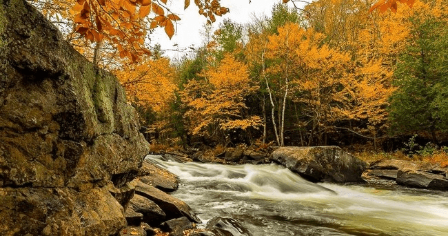 Autumn forest waterfall in Algonquin Park wilderness stream
