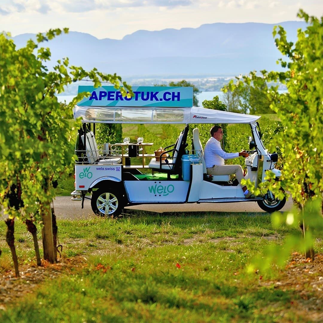 TukTuk Through Geneva Vineyards: Two Wine Tastings and Walks
