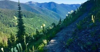 Alpine trail along green ridge, mountain hiking path and wildflowers