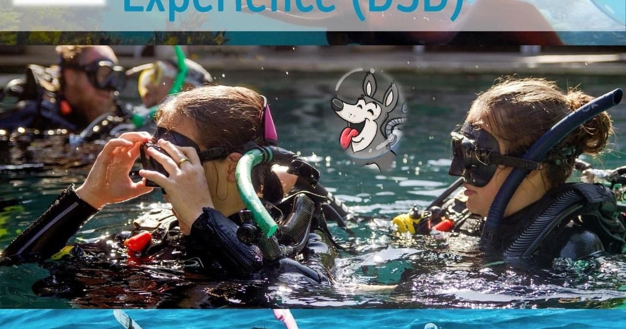 Water Activities & Jervis Bay Sea Sports: Dive into Adventure