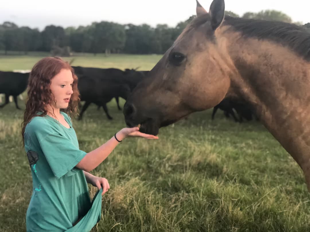 Morning Horseback Ride & Ranch Breakfast at Rockin' Star Ranch Brenham
