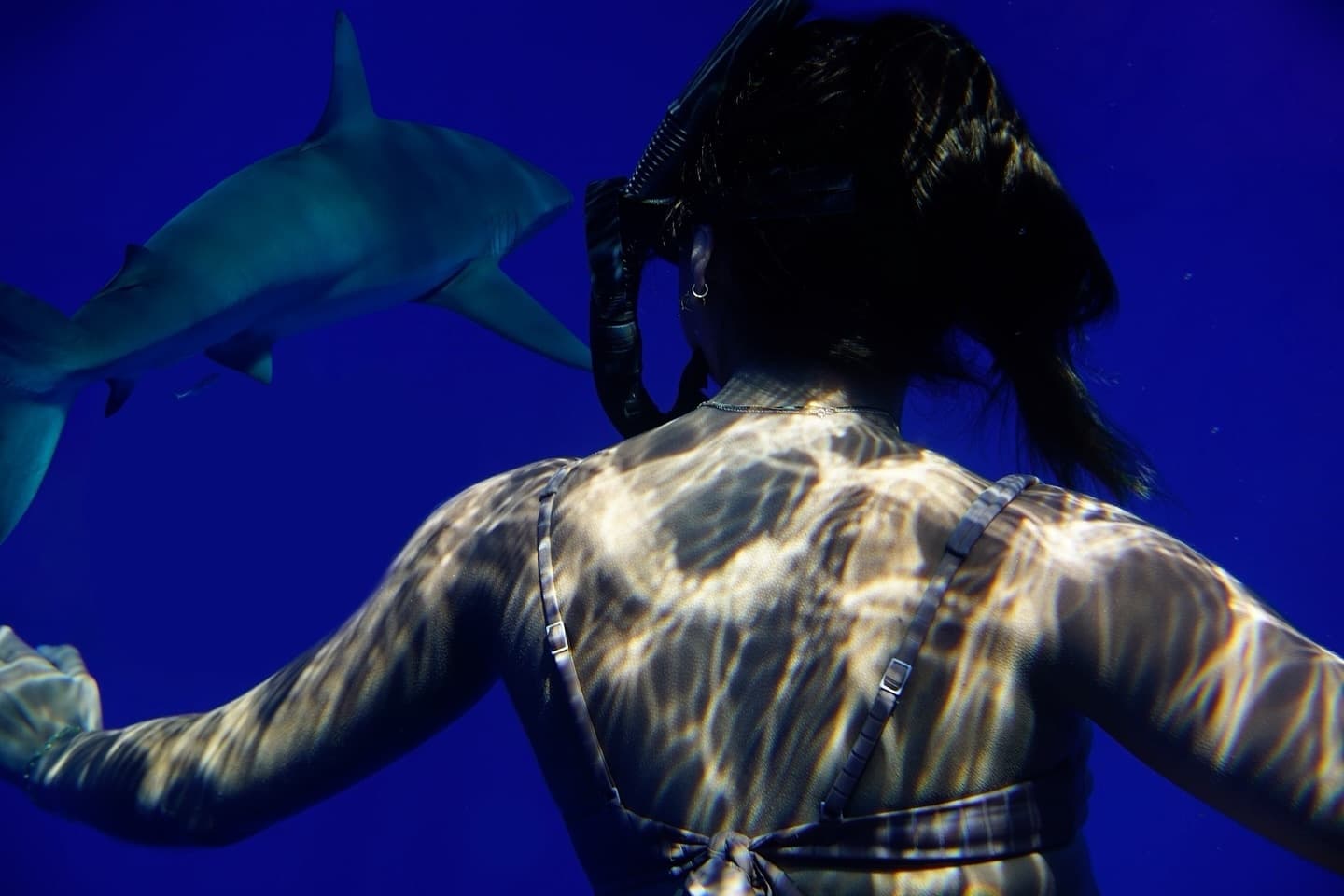 Freediver swimming with shark in deep blue waters for adventure