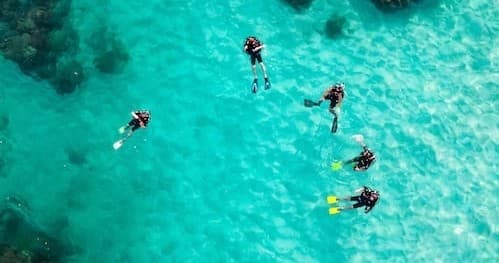 Scuba Diving Certification with Elite Scuba in San Diego
