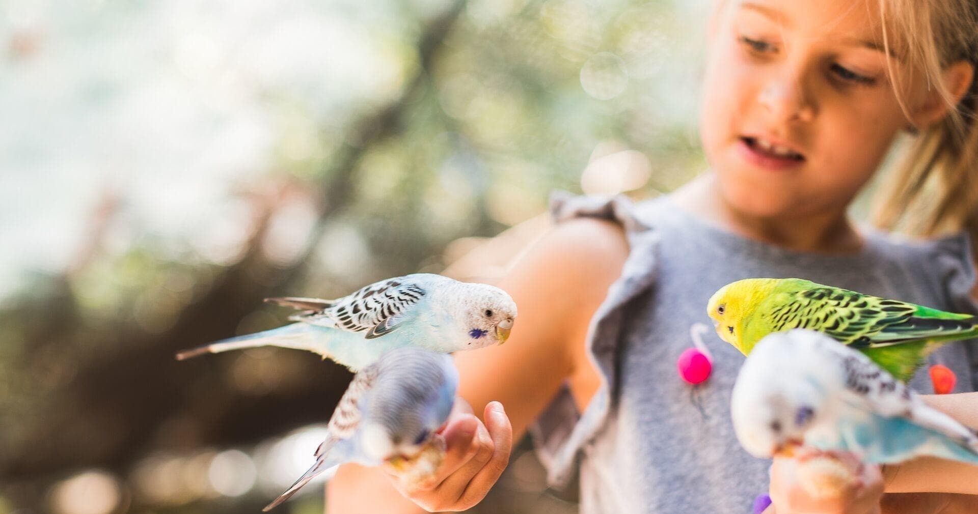Wildlife Adventures at Gulf Breeze Zoo