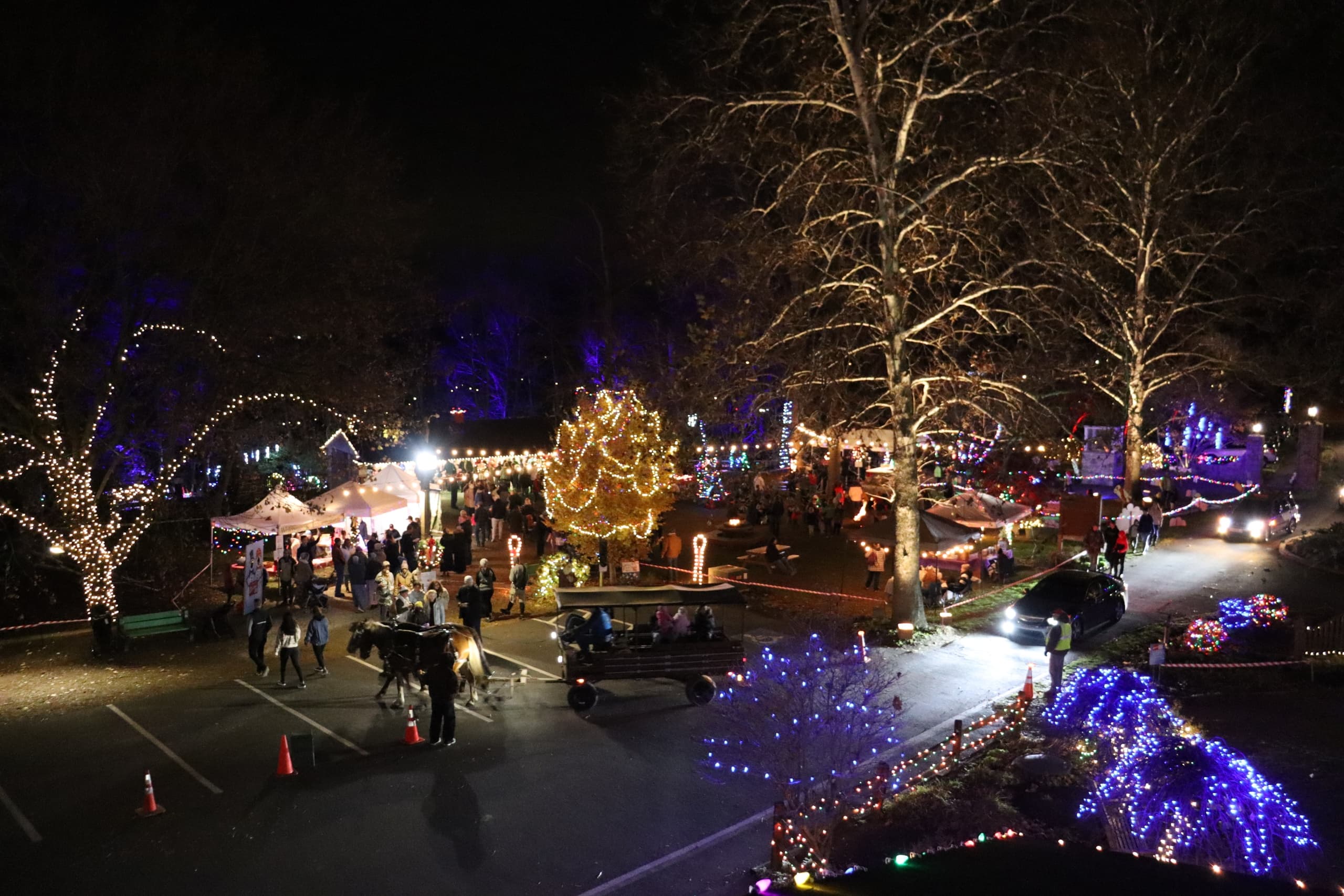 Magical Christmas Carriage Rides Through East Earl’s Festive Park Lights