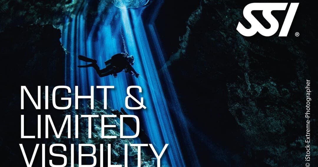 Night Diving Adventures with Tauchwerkstatt in Baalberge
