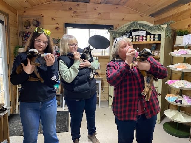 Bottle Feed Baby Goats in Martintown: 30-Min Farm Snuggle Experience photo 2