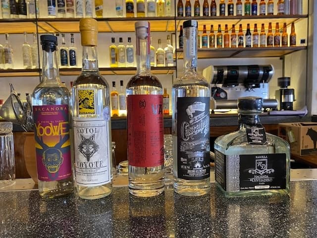 Agave Spirits Tasting with Vallarta Food Tours in Puerto Vallarta