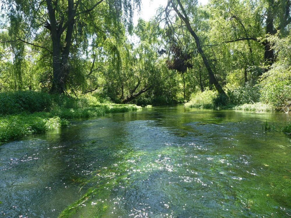 Fly Fishing Adventure with Precision Fly & Tackle in Letort