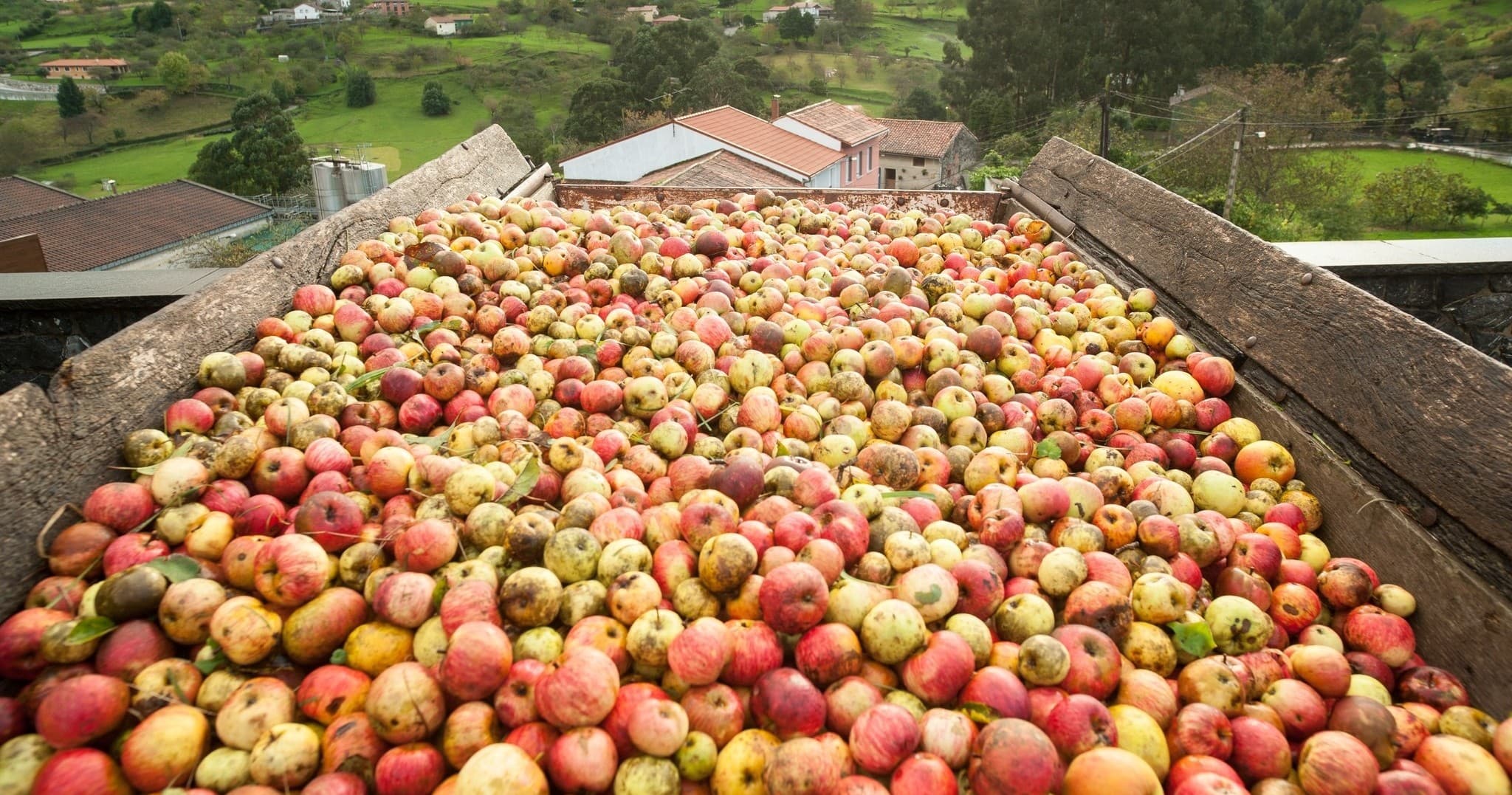 Cider Tour & Farm Experience at Asturias