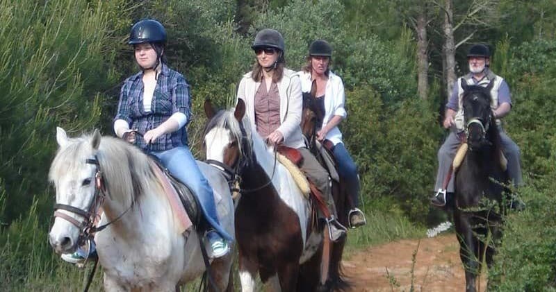 Several riders on horses exploring woodland trail outdoors