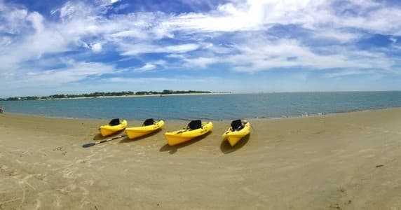 Paddle Walk Inc. fleet