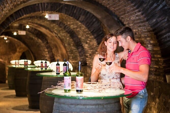 Secret Rioja: Private Wine Masterclass and Pintxos in Laguardia