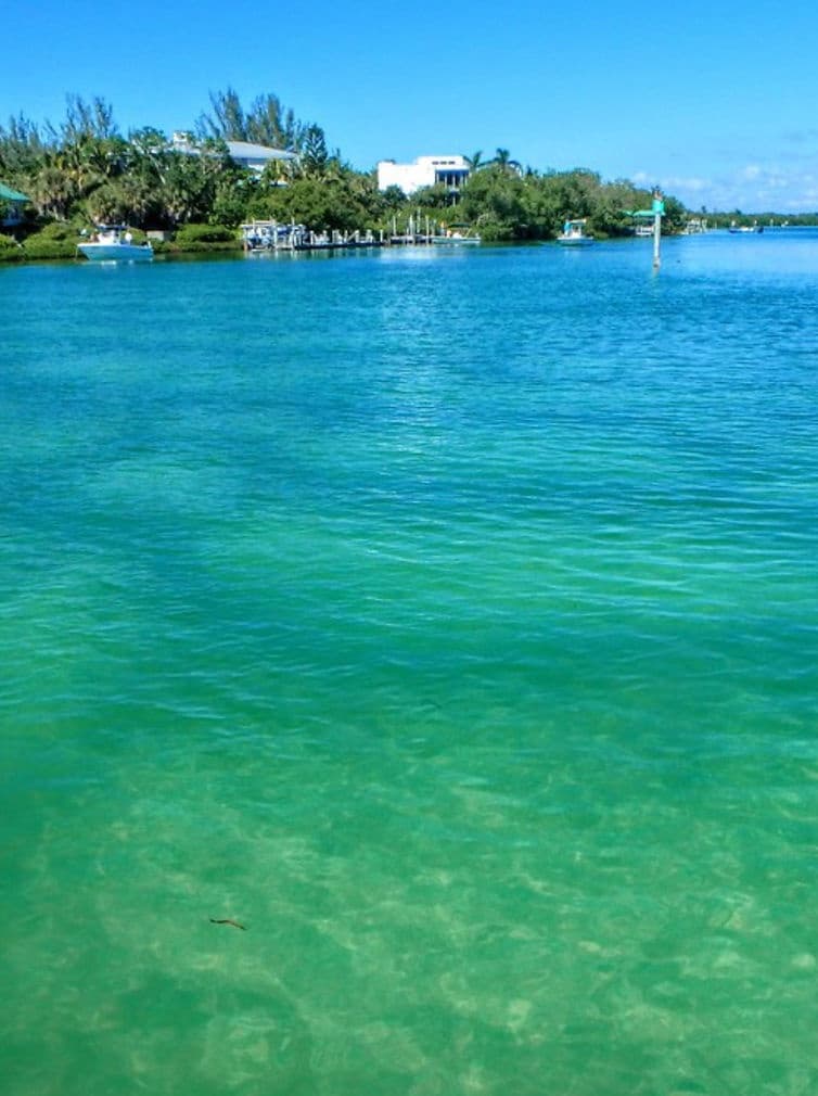 Adventure with Island Runner Tours on Pine Island in Fort Myers Beach