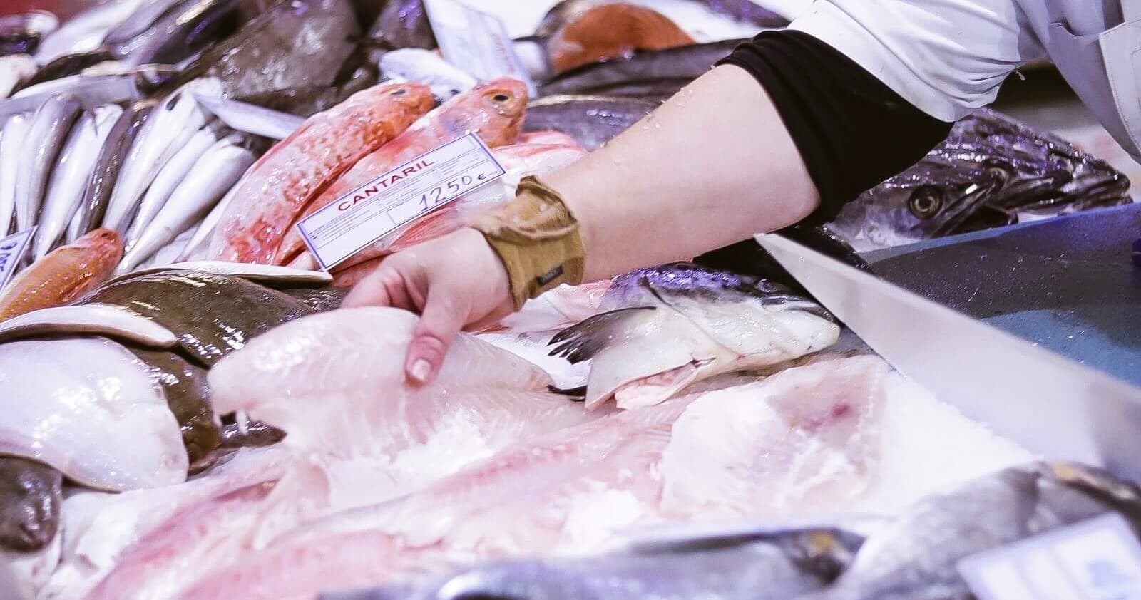 Selecting fresh fish at Lisbon market stall, seafood ingredient pick