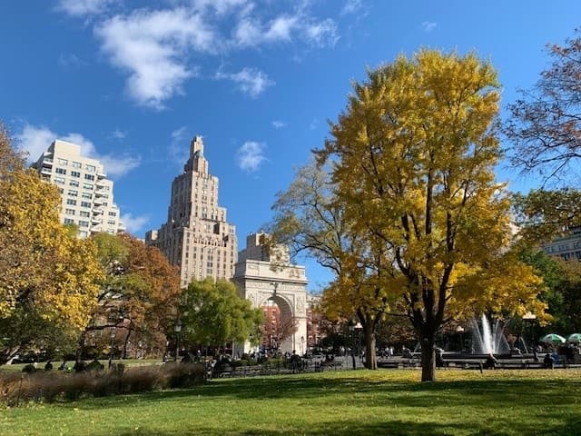 Urban Cultural Tour with Privé Experience in NYC