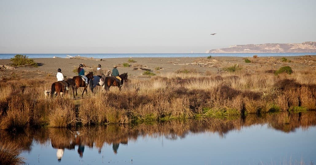 Boutique Horsetreks’ Magical Beach Horse Trek in Arrowtown