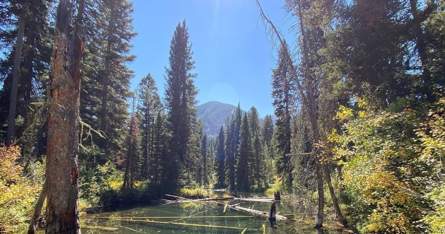 Land Adventures with Jackson Hole Outfitters at Hoback Peak