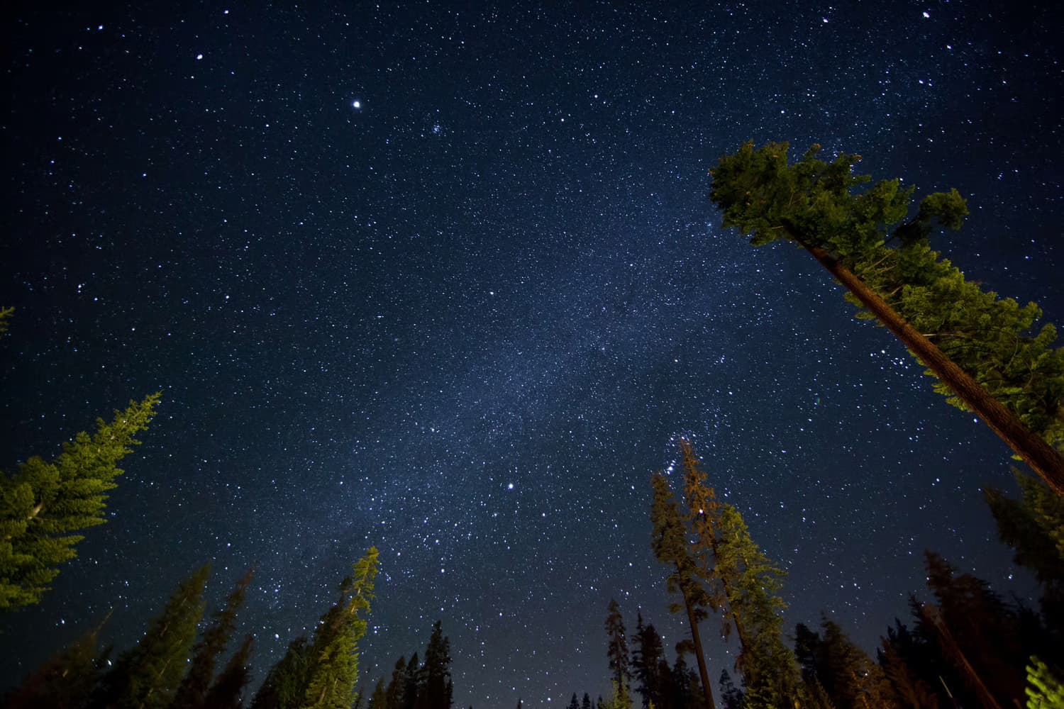 Foothills Stargazing at Potwisha: Dark Skies in Sequoia National Park
