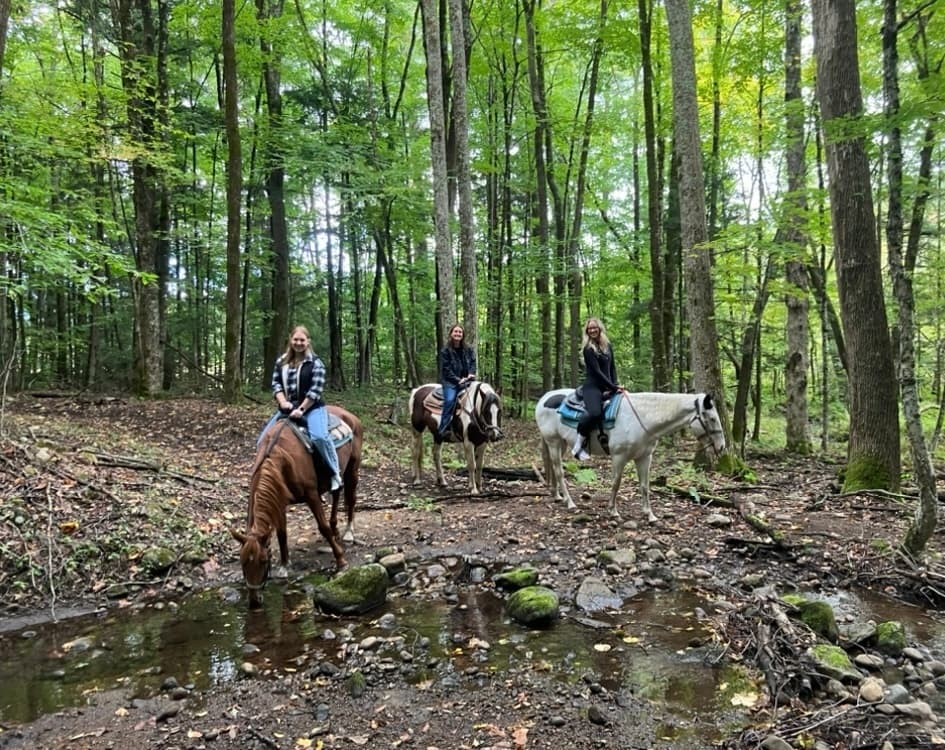 Adirondack Trail Riding at Ruggiero's Public Horsebackriding