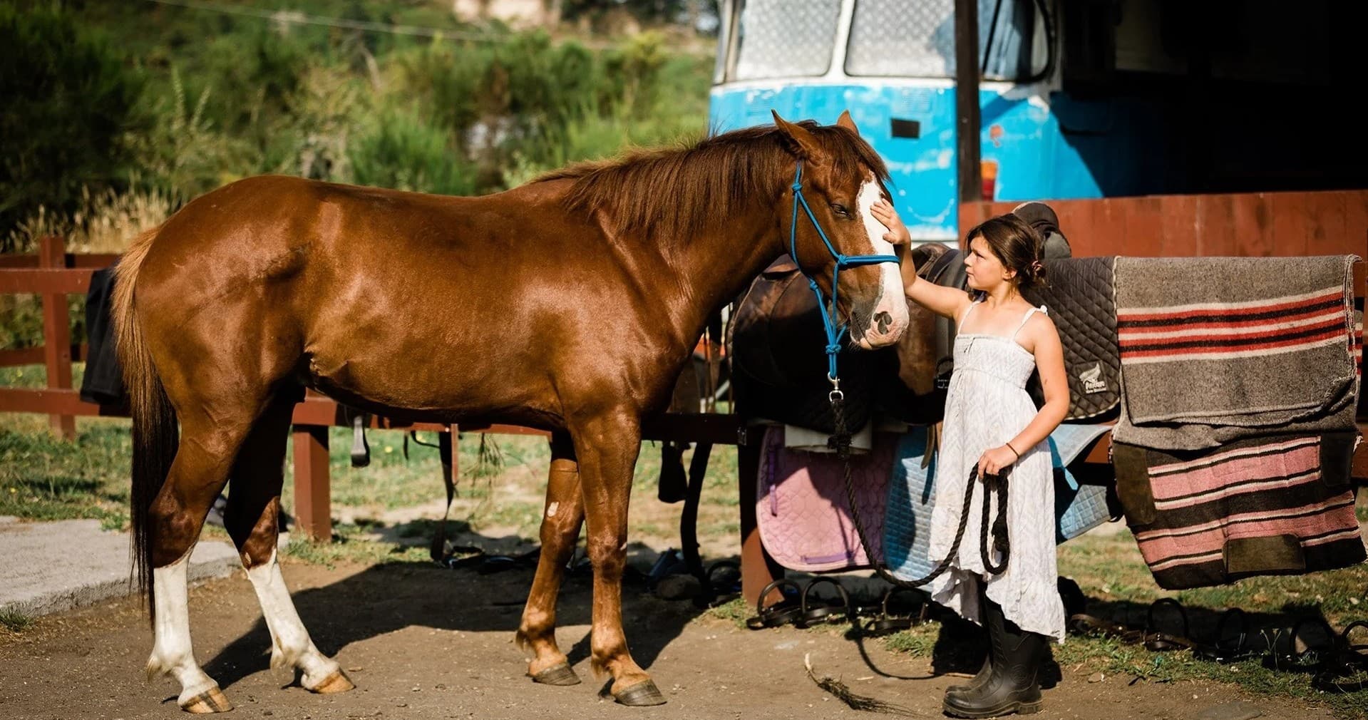 Horse Photoshoots with Korohe Horse Treks in Tūrangi