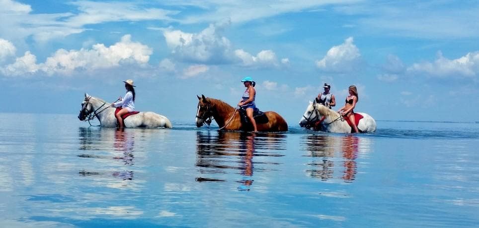 Horseback riders wading in clear coastal water at sunrise