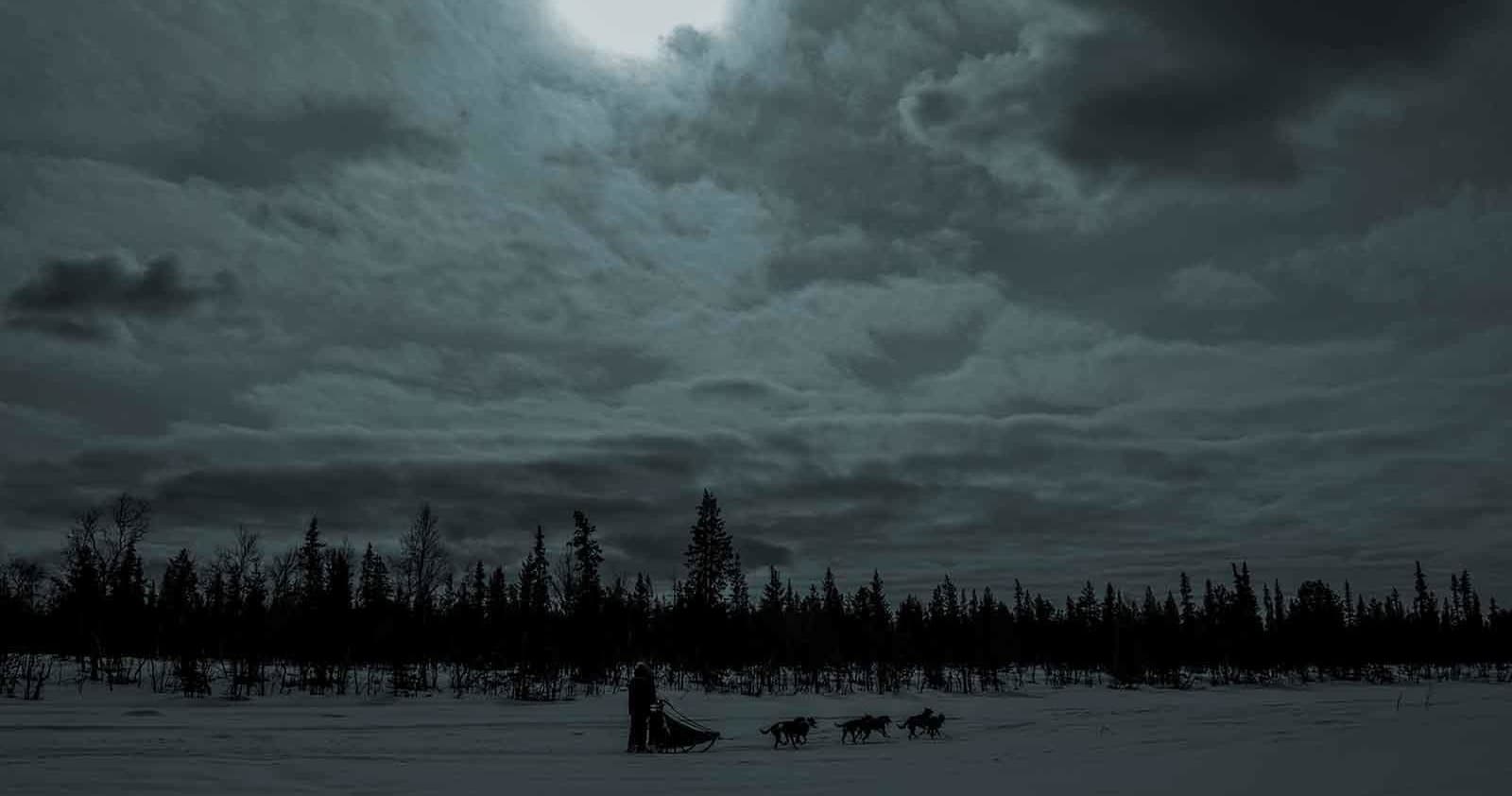 Winter Sleddog Adventure at Lapland Wilderness Tours