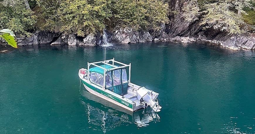 Private Resurrection Bay Wildlife Charter: Seward Four-Hour Sweetwater Tour