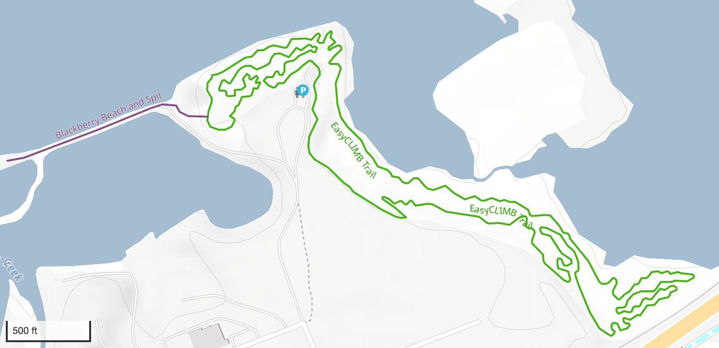 EasyCLIMB Mountain Bike Tour: Beginner Single-Track Ride in the Columbia River Gorge photo 4