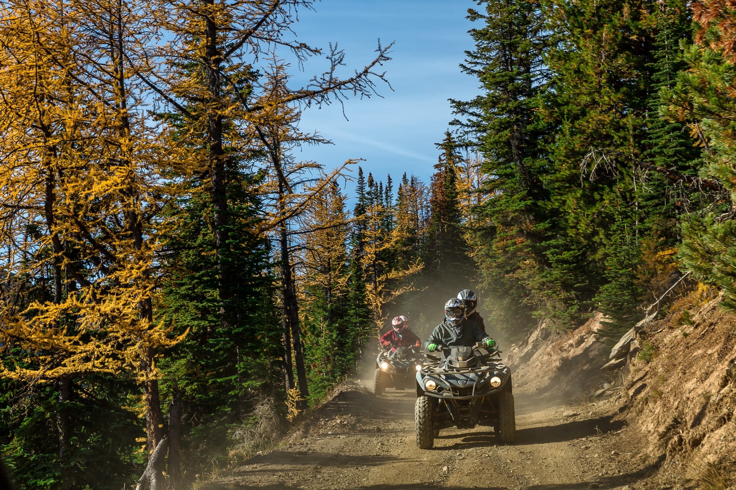 Golden Larches ATV/SXS Tour at Toby Creek Adventures (Panorama, BC) photo 1