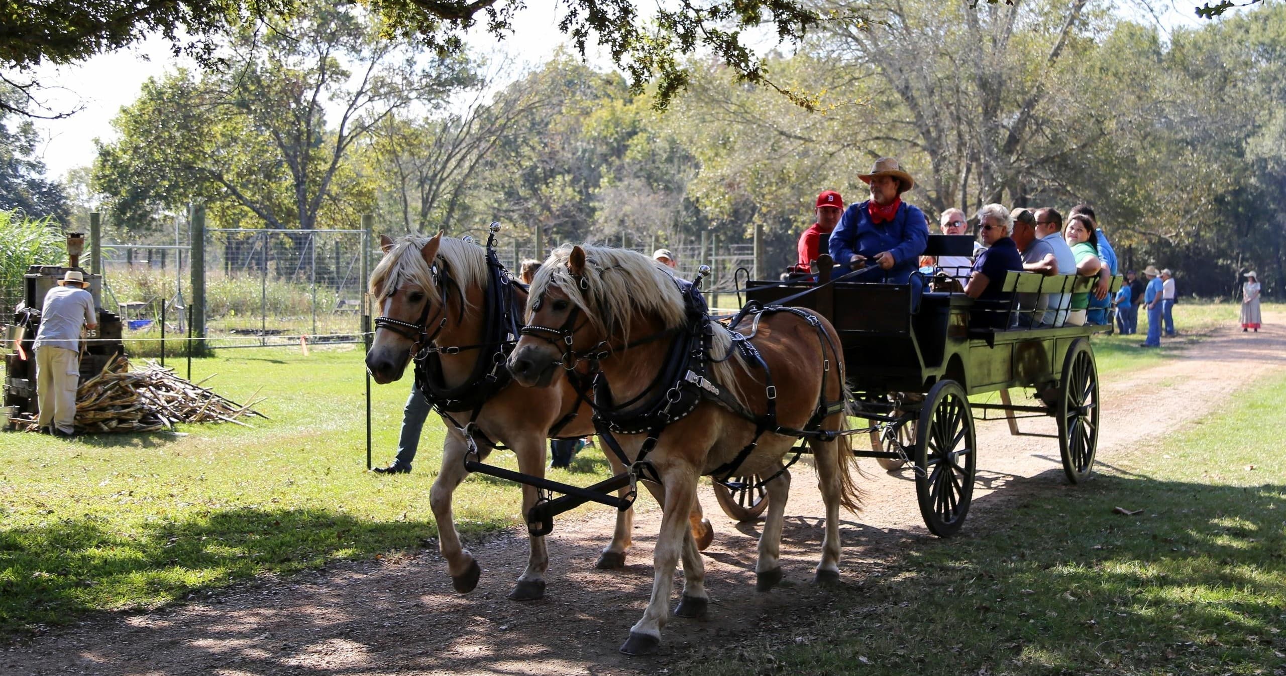 ABNC Fall Festival: Community & Nature in Pasadena, TX