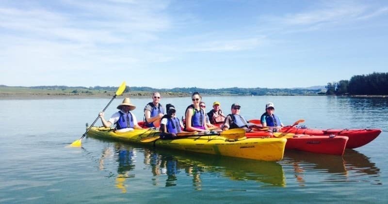 Group kayaking on calm Elkhorn Slough waters with reflections