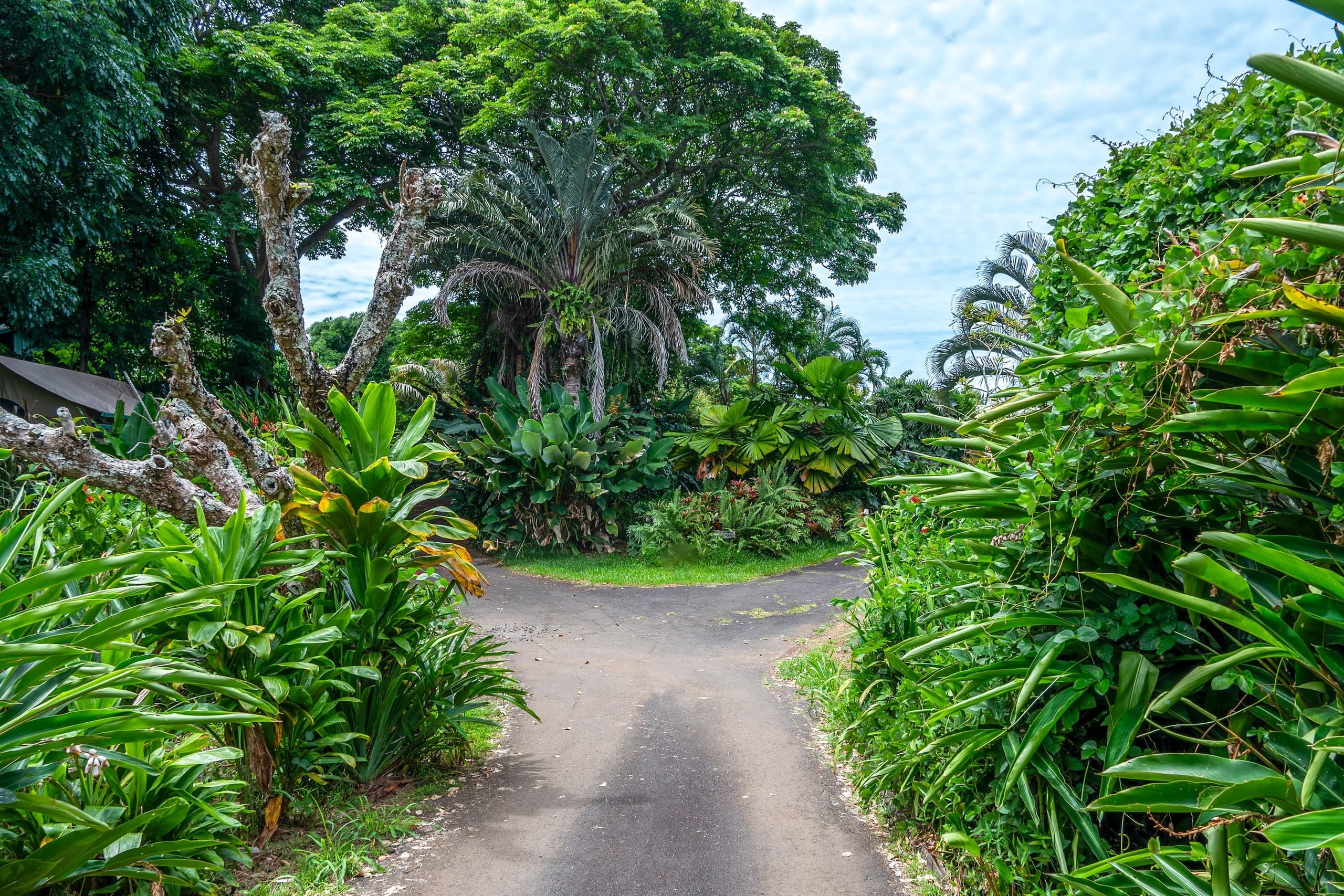 Land Adventures at Gingerhill Farm on Big Island